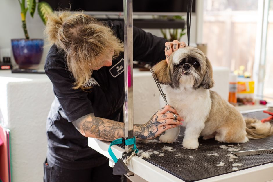 The Rebooking System That Keeps Your Chairs Full — pet grooming