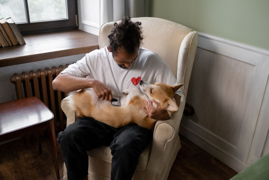 Pet Grooming Snapshot vs Building It Yourself in GoHighLevel — pet grooming